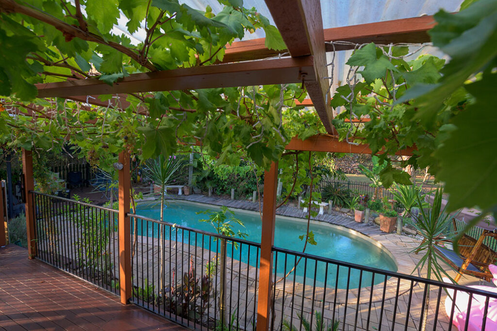 Outdoor living area with grapes hanging from the rafters
